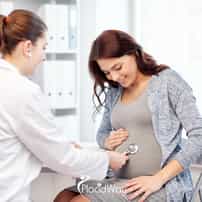 Navigating 2026 Grey-Zone Sanctuary for International Surrogacy in Azerbaijan